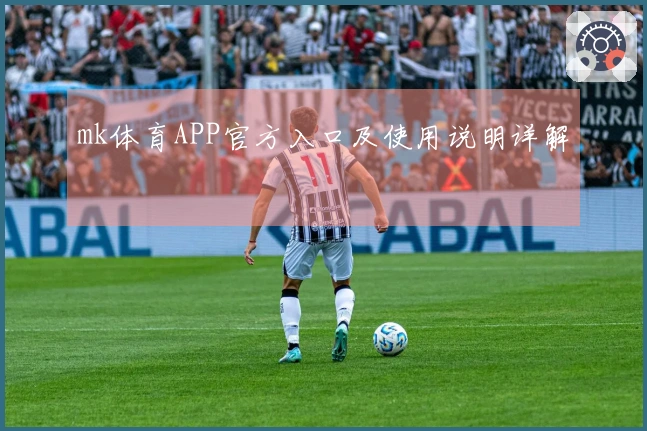 mk体育APP官方入口及使用说明详解