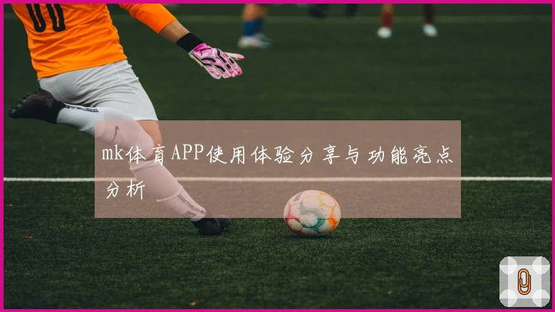 mk体育APP使用体验分享与功能亮点分析