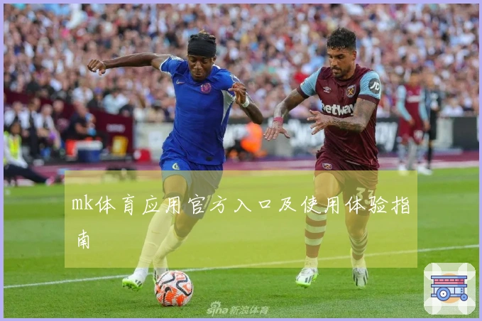 mk体育应用官方入口及使用体验指南