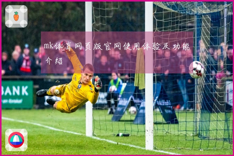 mk体育网页版官网使用体验及功能介绍