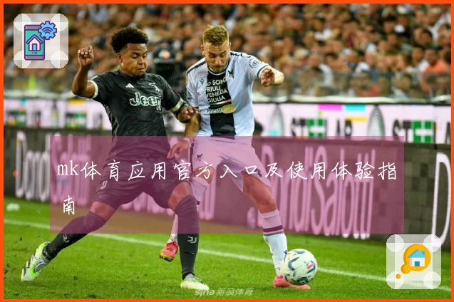 mk体育应用官方入口及使用体验指南